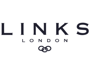 links logo